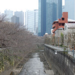 神田川を越えて新宿から中野へ。東京散歩・中野区